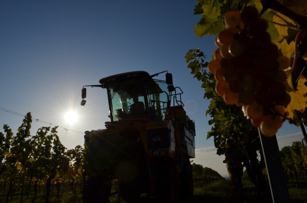 121011_sber_kombajnU_Hajku (12)(1)