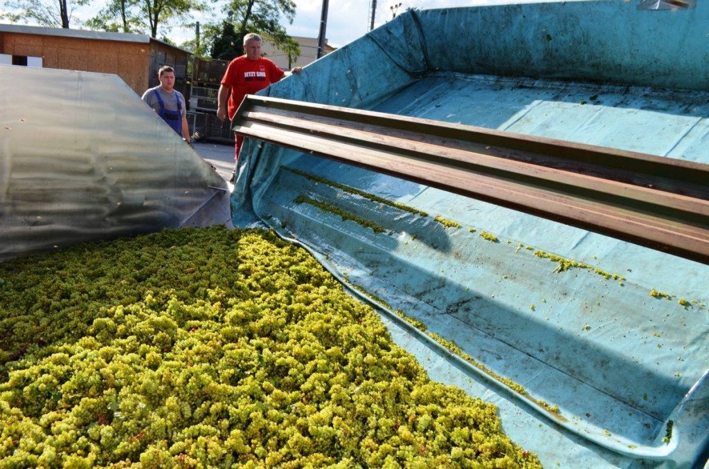 1267403_527418427344704_508472351_o