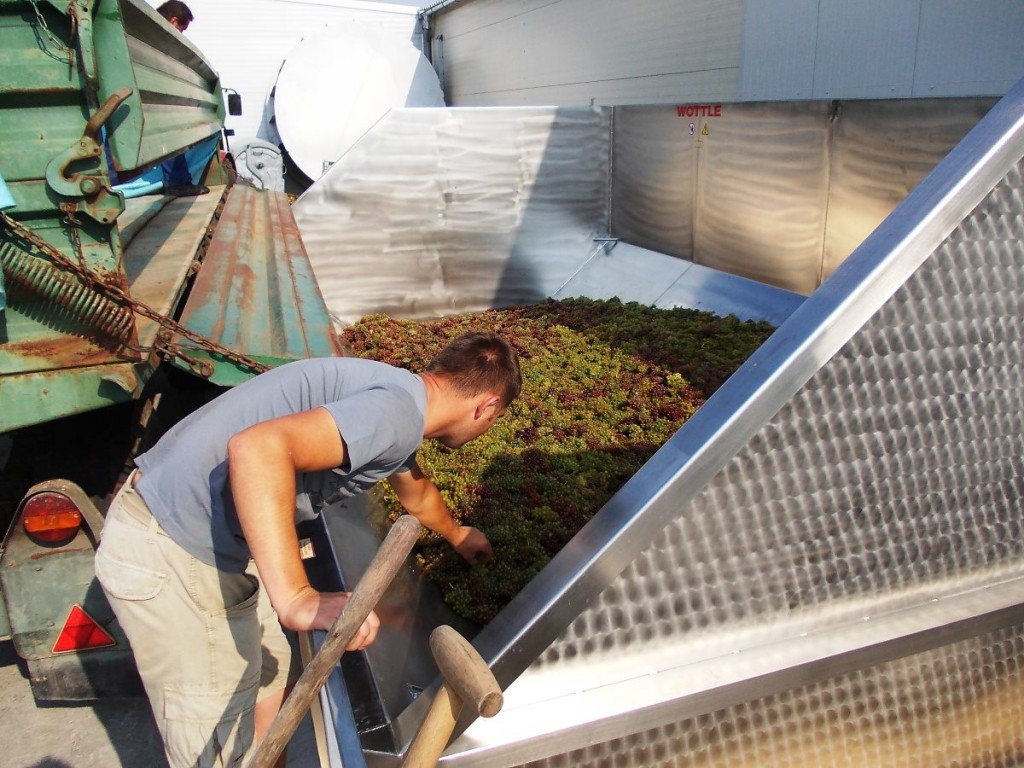 413469_354431197976762_1726951581_o