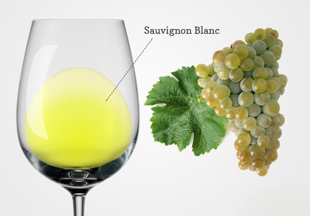 Sauvignon Blanc
