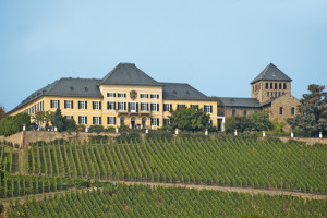 schloss-johannisberg