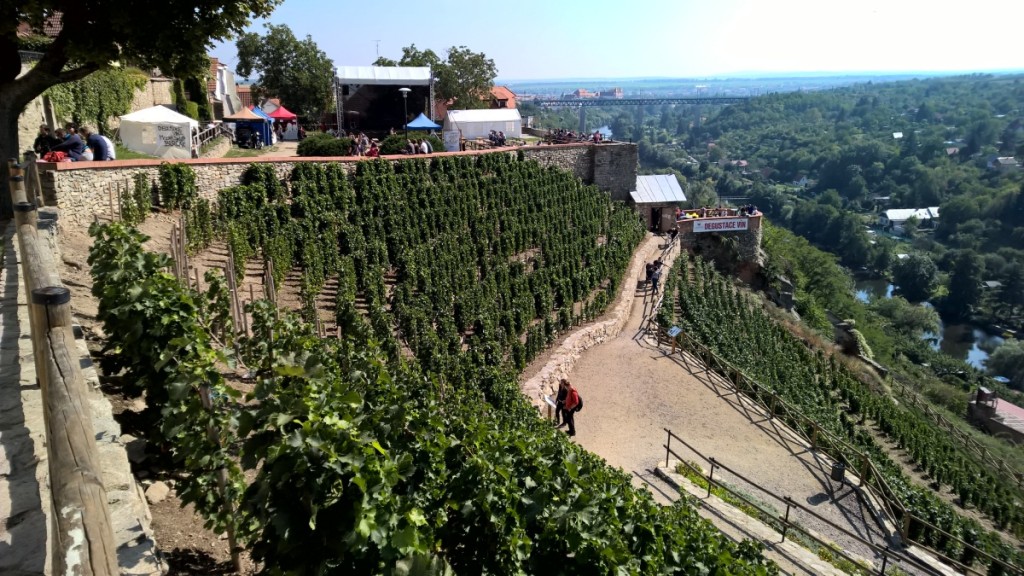 150913_Znojemske_vinobrani (1)