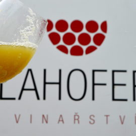 FOTOREPORTÁŽ: Prvá oberačka & Znojemské vinobranie